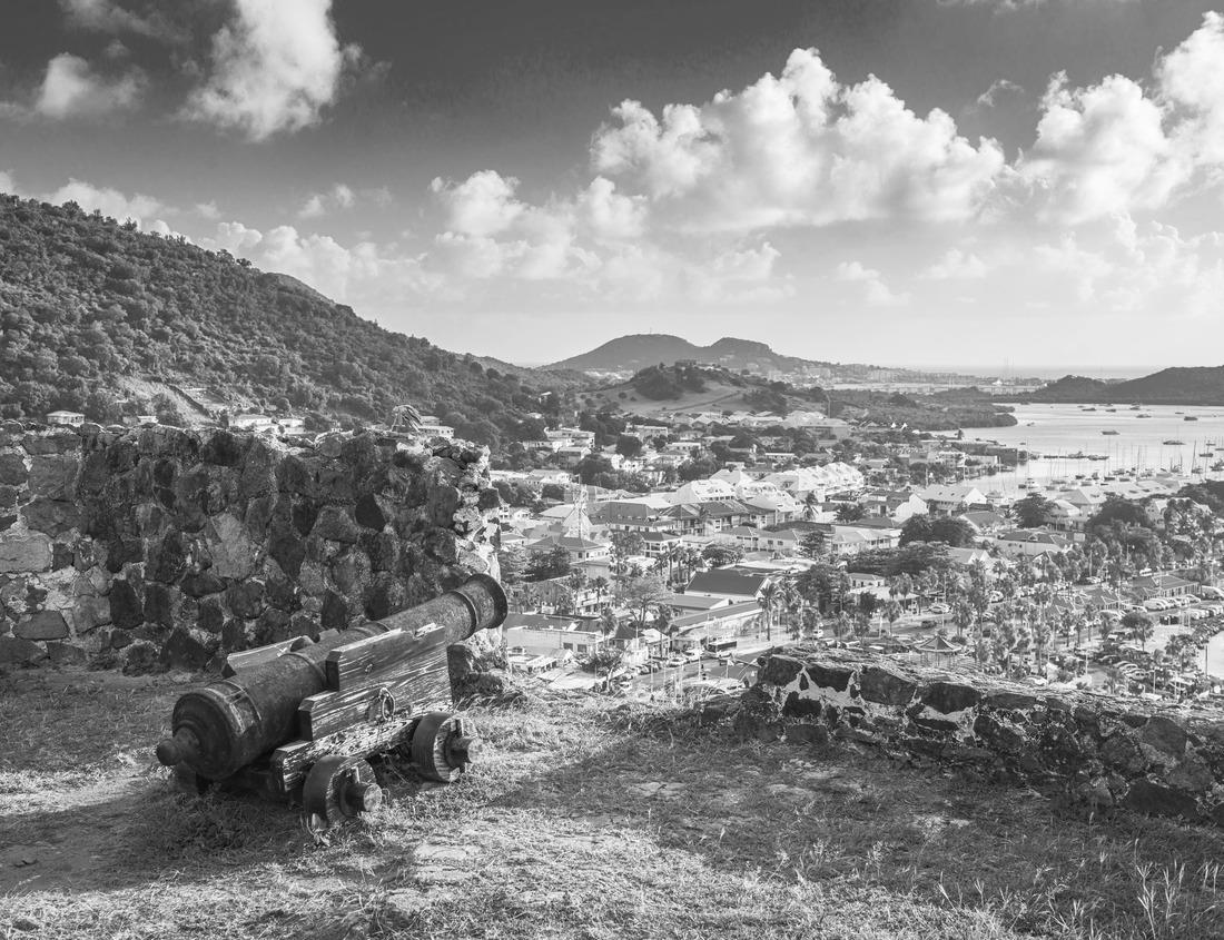 Noah Jigsaw Puzzle Birds eye view photo of Campbell in California in black white 1000 pieces