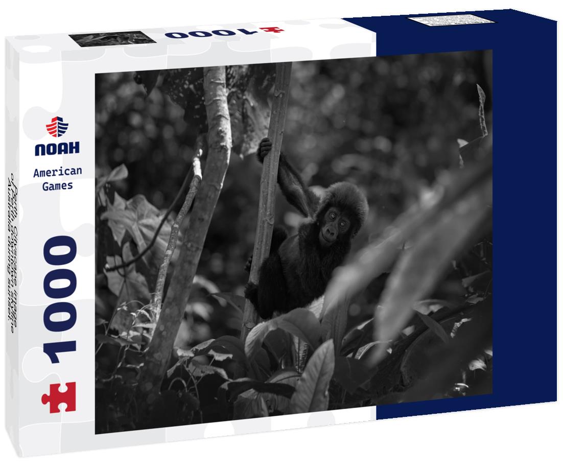 Noah Jigsaw Puzzle Perth. Cityscape image of Perth downtown skyline, Australia during sunset. in black white 1000 pieces