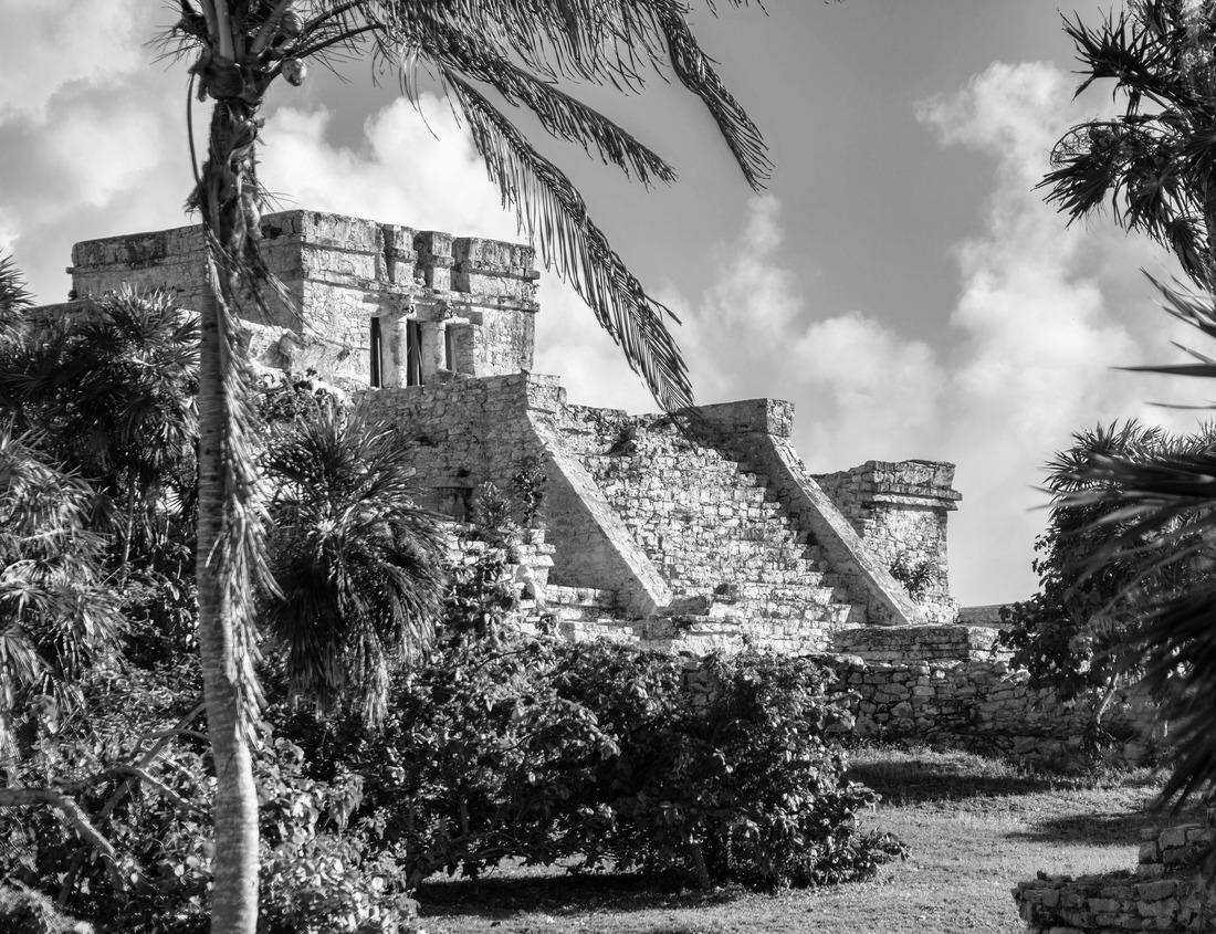 Noah Jigsaw Puzzle Medieval half-timber houses and Stour river in Canterbury Old Town, Kent, England in black white 1000 pieces