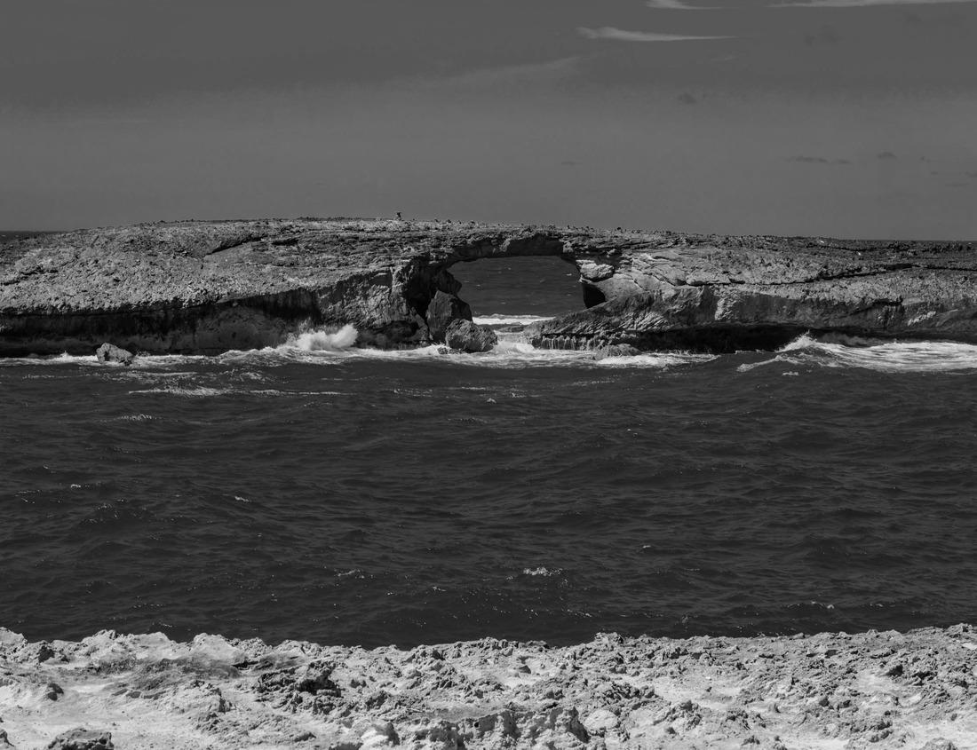 Noah Jigsaw Puzzle Chhatrapati Shivaji Maharaj Terminus, a UNESCO world heritage site in Mumbai - Maharashtra, India in black white 1000 pieces