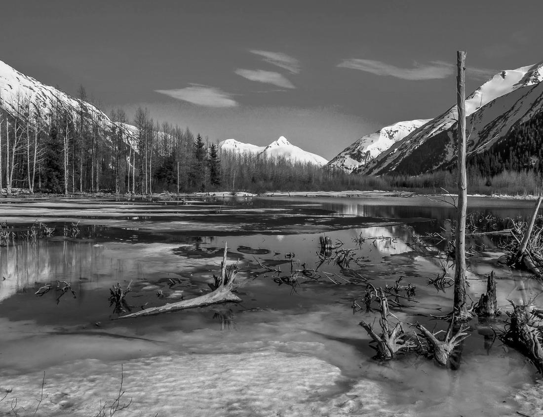 Noah Jigsaw Puzzle Jacksonville River in black white 1000 pieces