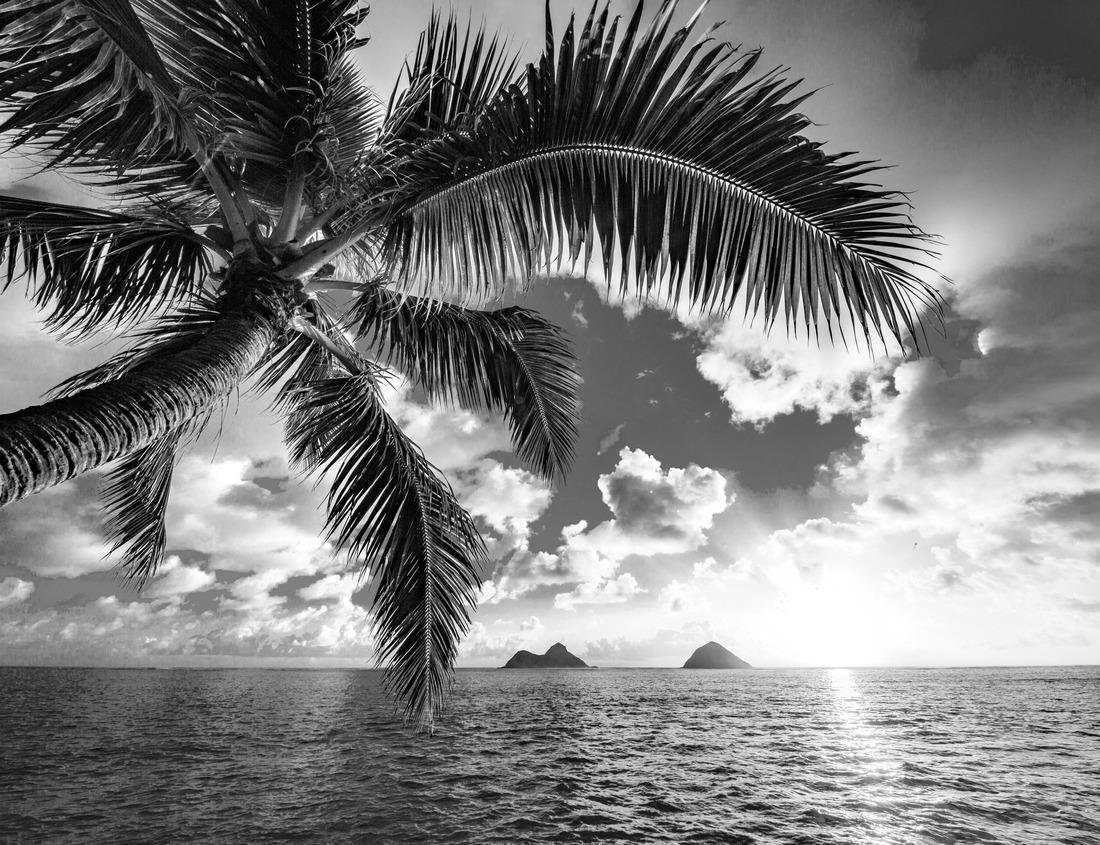 Noah Jigsaw Puzzle Cincinnati, Ohio, USA skyline at dusk in black white 1000 pieces