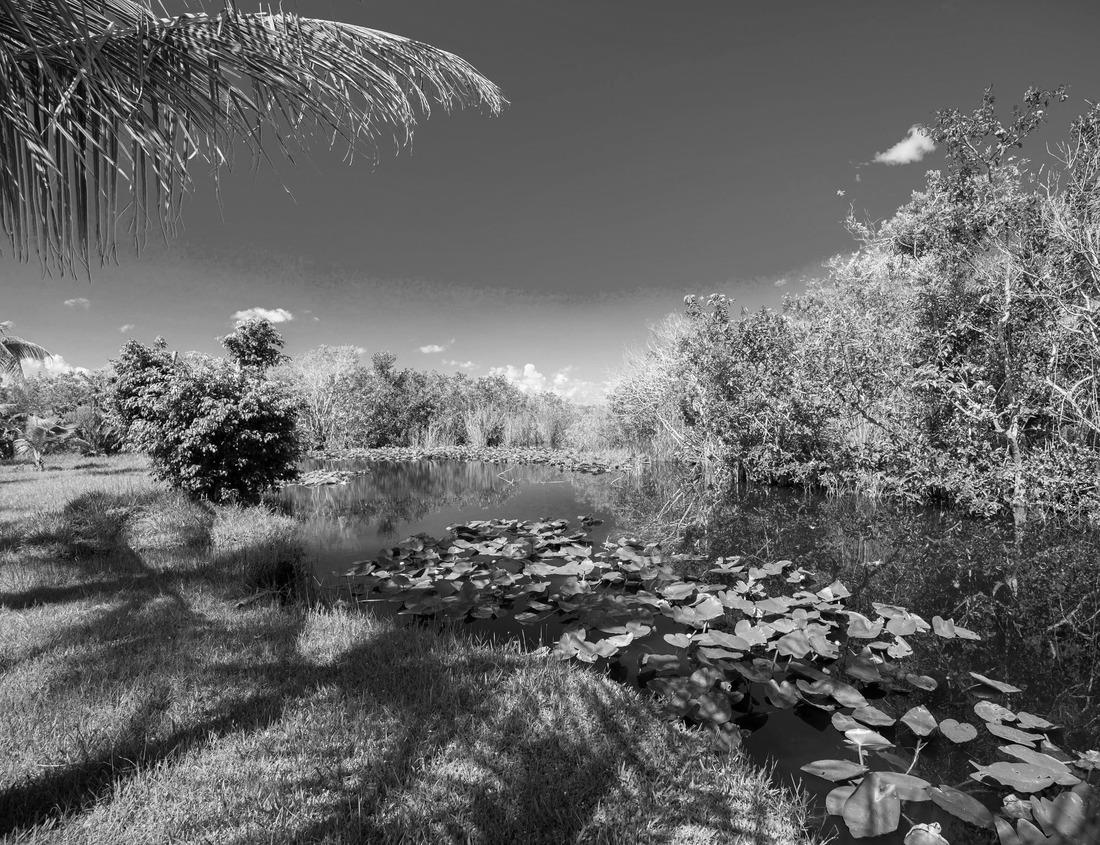 Noah Jigsaw Puzzle Frankfurt, Germany skyline over the Main River in black white 1000 pieces