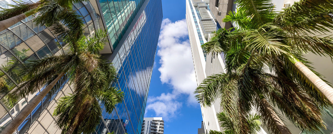 Miami downtown financial skyline and business shopping center near Biscayne bay and South beach 2000pc Panoramic Puzzle