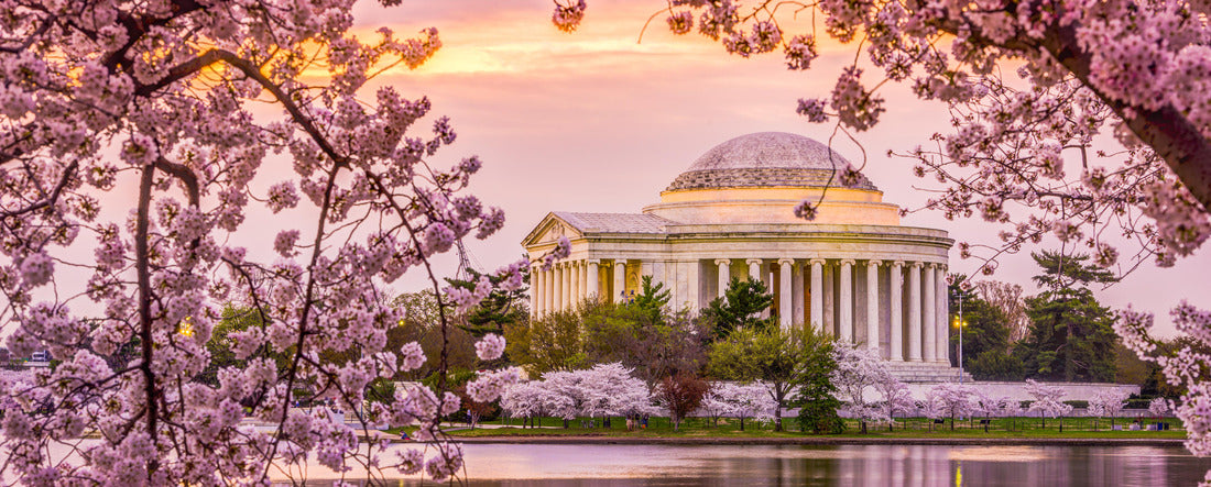 Washington, DC at the Tidal Basin and Jefferson Memorial during the spring cherry blossom season 2000pc Panoramic Puzzle
