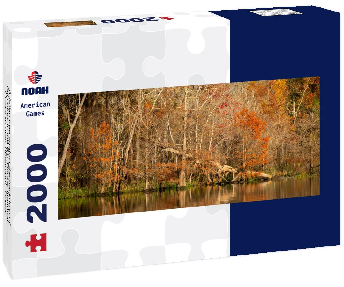 A fallen tree against the backdrop of fall colors in the Big Thicket National Preserve near Beaumont, Texas 2000pc Panoramic Puzzle