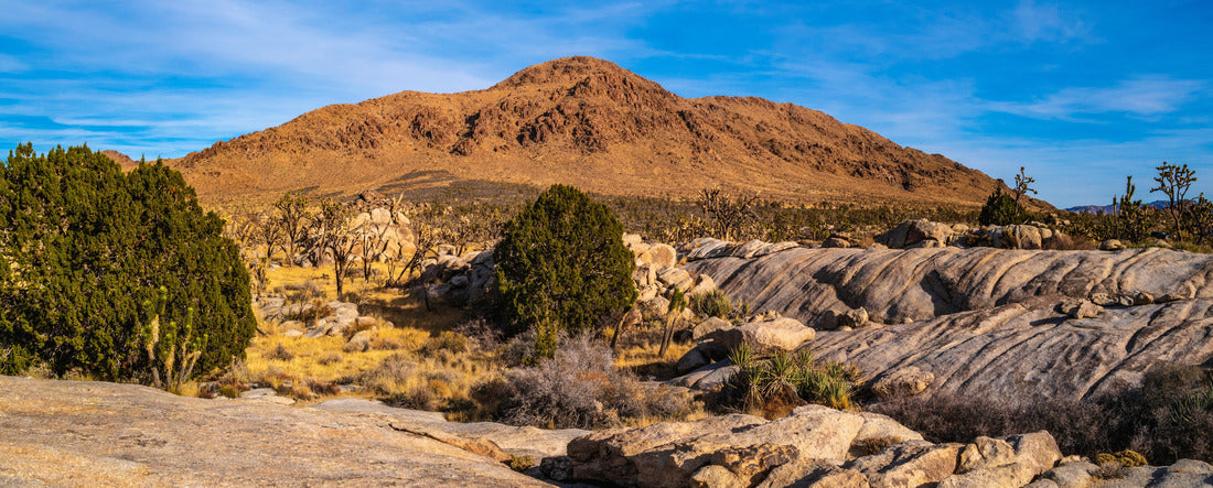 Mojave Desert National Preserve arid landscape, Cima Dome Volcanic Field National Natural Landmark in California, USA 2000pc Panoramic Puzzle