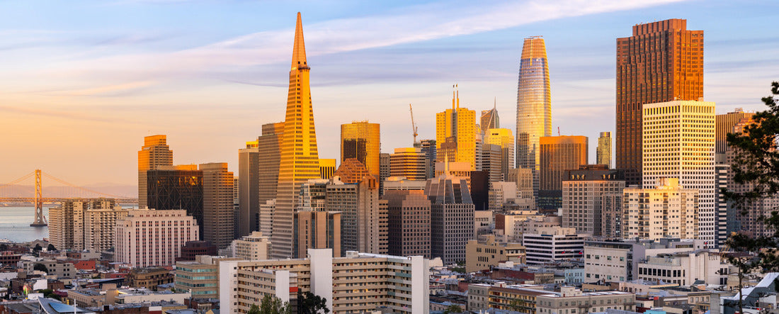 Noah Jigsaw Puzzle Panoramic Sunset at San Francisco downtown cityscape skylines ans skyscrapers building in California, USA. San Francisco United States panorama 2000 pieces