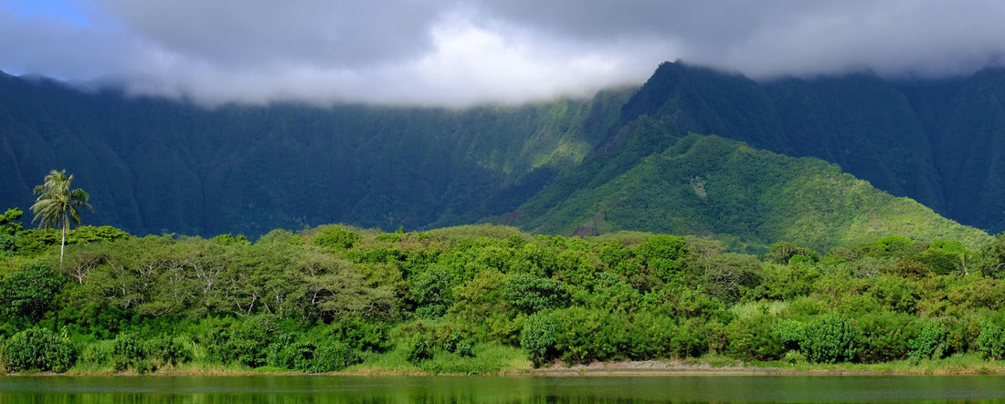 Ahuimanu Stream in Kahaluu, Oahu, Hawaii. Stream in foreground and Ko'olau mountains in the background. Surrounding landscape includes palm trees and tropical forest 2000pc Panoramic Puzzle
