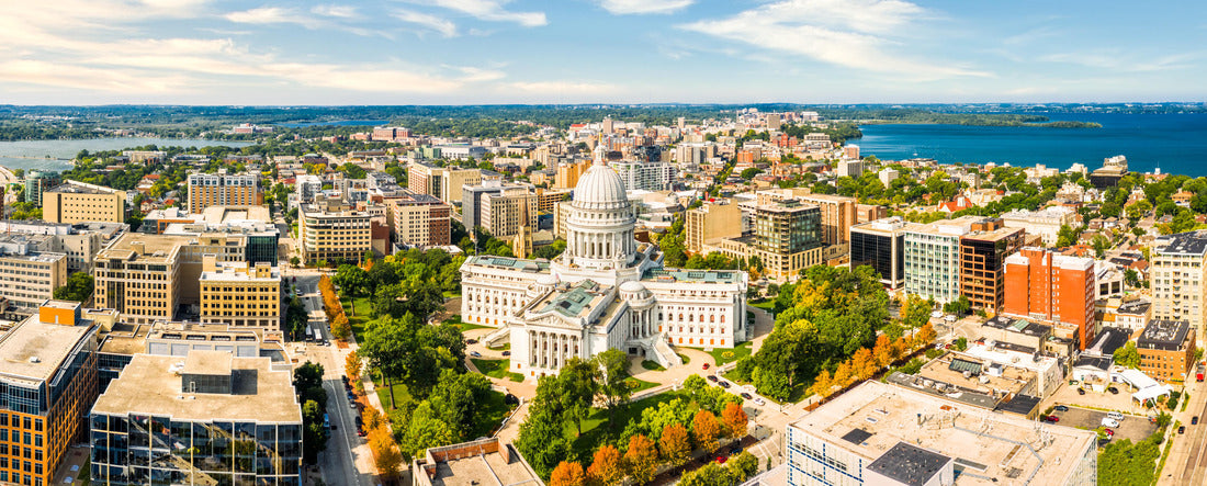 Noah Jigsaw Puzzle Wisconsin State Capitol and Madison skyline panorama panorama 2000 pieces