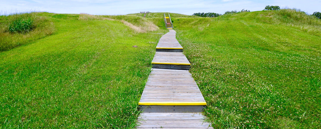 Noah Jigsaw Puzzle Poverty Point World Heritage Site in Louisiana panorama 2000 pieces