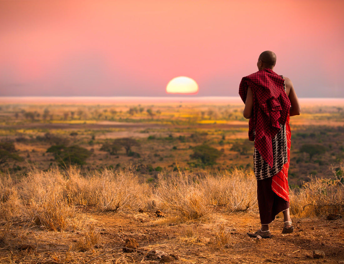 Noah Jigsaw Puzzle Maasai man with traditional blankets, overlooking Serengetti in Tanzania 1000 pieces