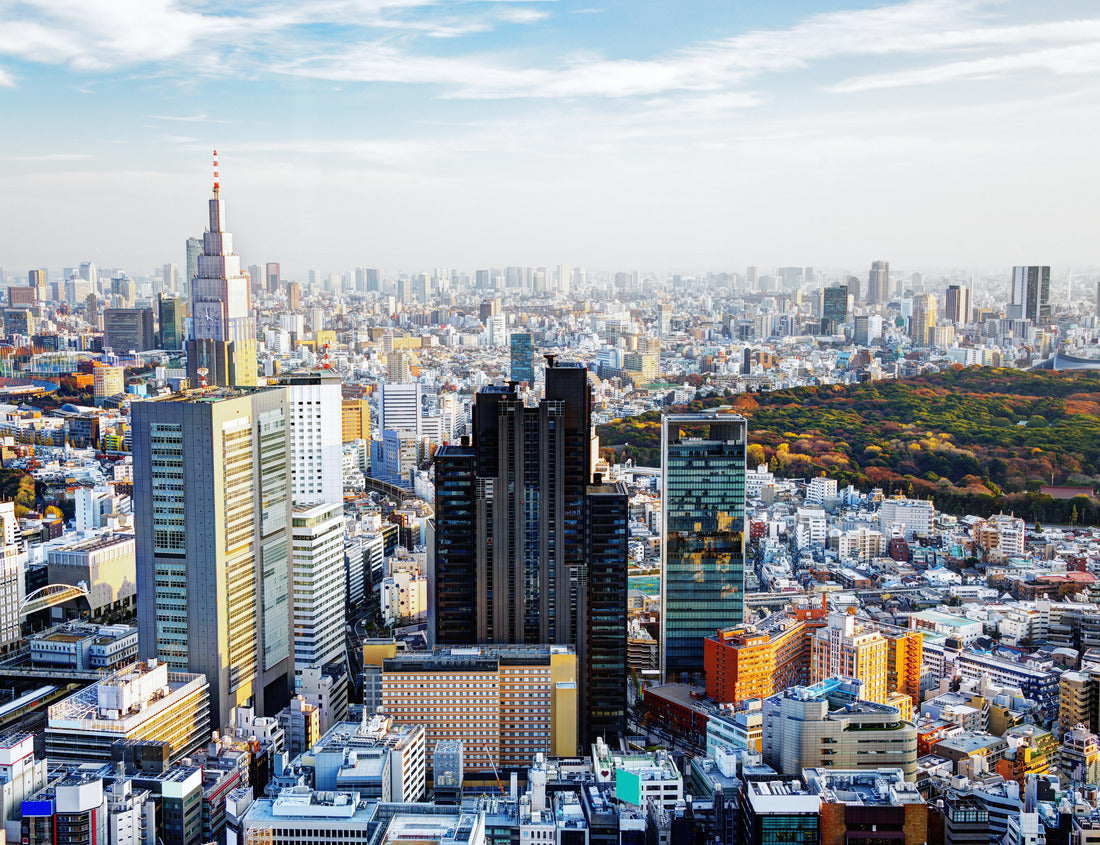 Noah Jigsaw Puzzle Afternoon cityscape of Shinjuku, Tokyo, Japan 1000 pieces