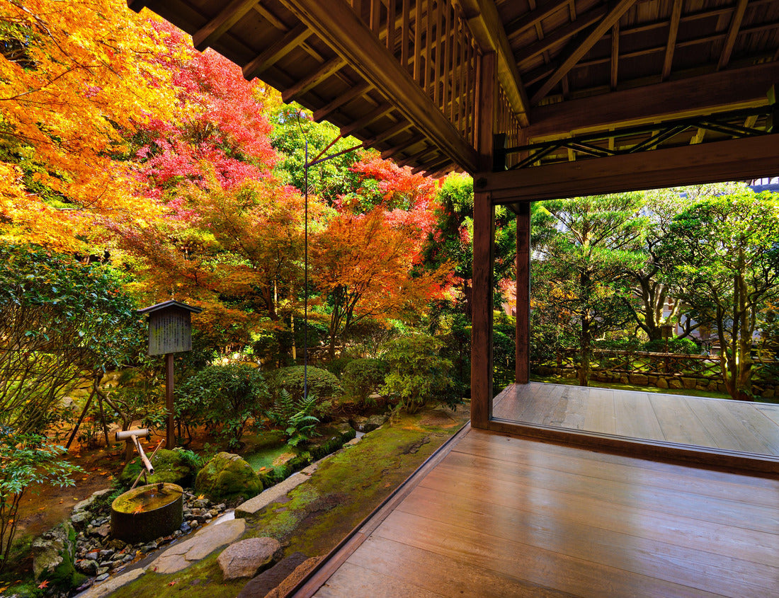 Noah Jigsaw Puzzle Fall foliage at Ryoan-ji Temple in Kyoto, Japan 1000 pieces