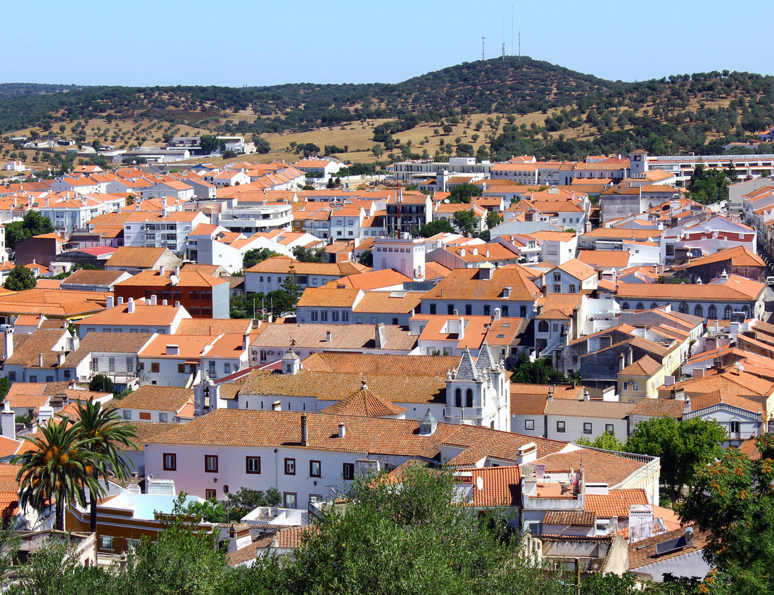 Noah Jigsaw Puzzle Montemor o Novo, Alentejo, Portugal 1000 pieces