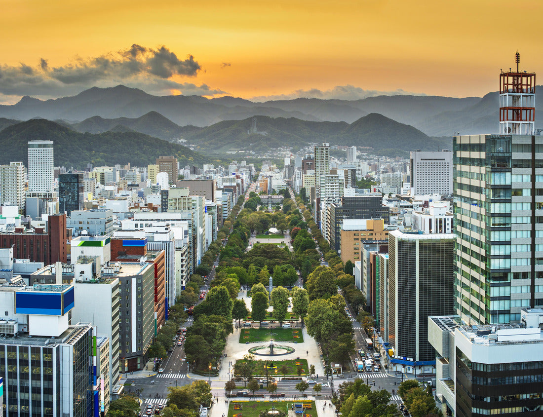 Noah Jigsaw Puzzle Cityscape of Sapporo, Japan in Odori Park 1000 pieces