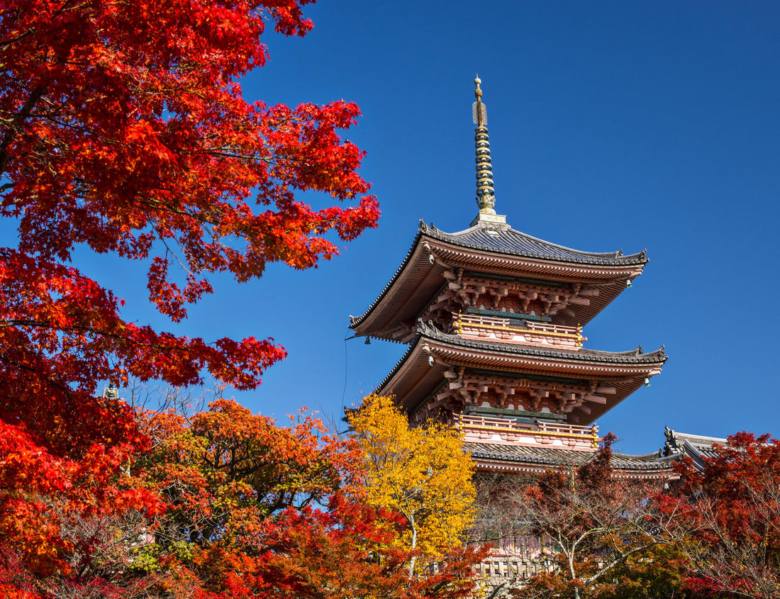 Noah Jigsaw Puzzle Kiyomizu Temple in Kyoto, Japan 1000 pieces