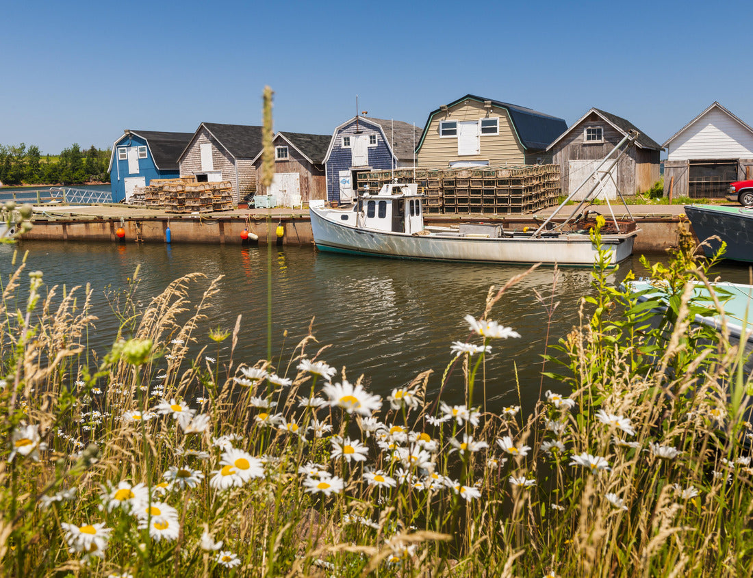 Noah Jigsaw Puzzle Boats docked in fishing village near Cavendish, Prince Edward Island, Canada 1000 pieces