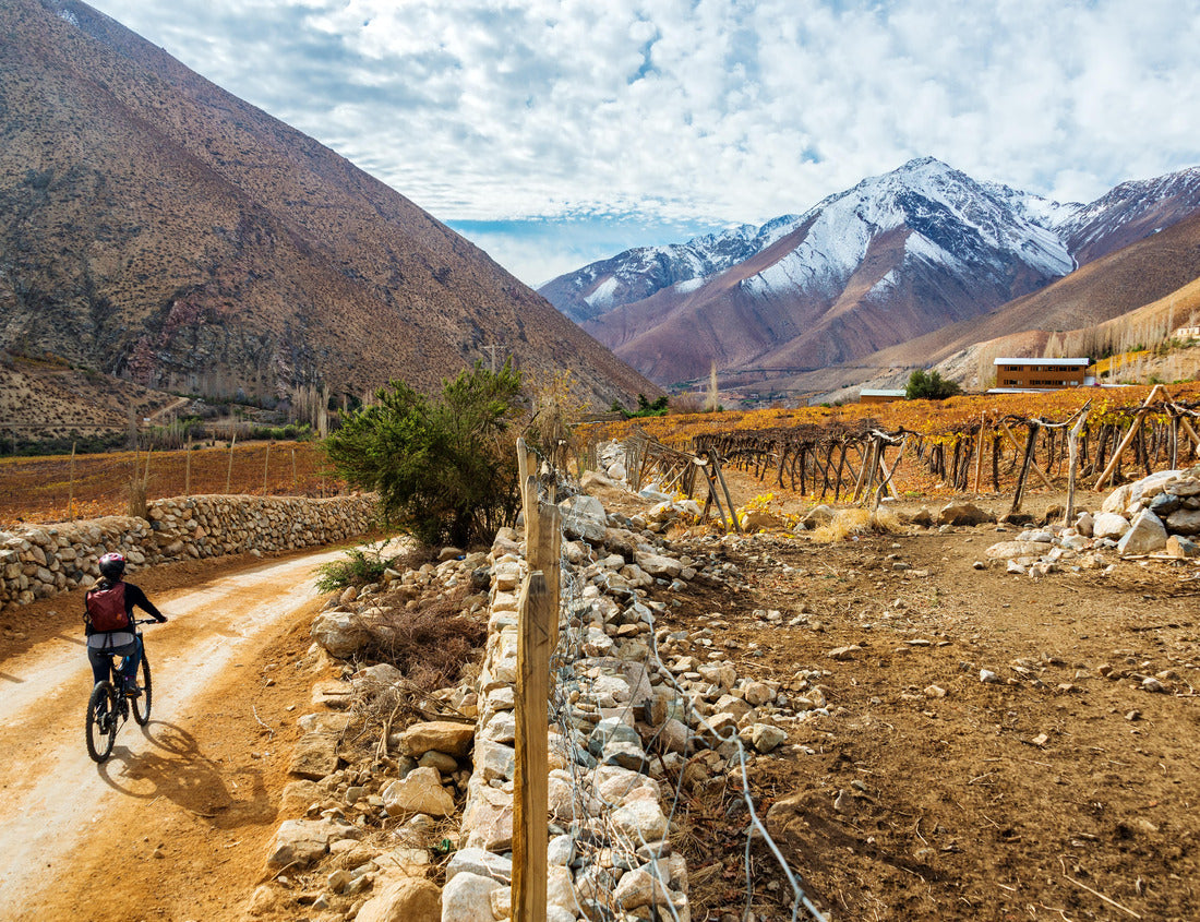 Noah Jigsaw Puzzle Elqui Valley near Vicuna, Chile with the Andes Mountains in the background 1000 pieces