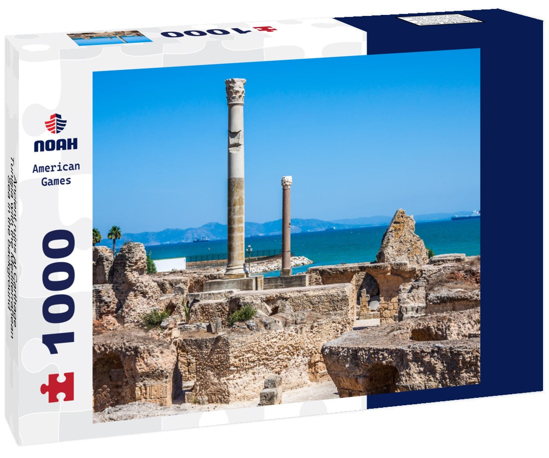 Noah Jigsaw Puzzle Ancient ruins at Carthage, Tunisia with the Mediterranean Sea in the background 1000 pieces