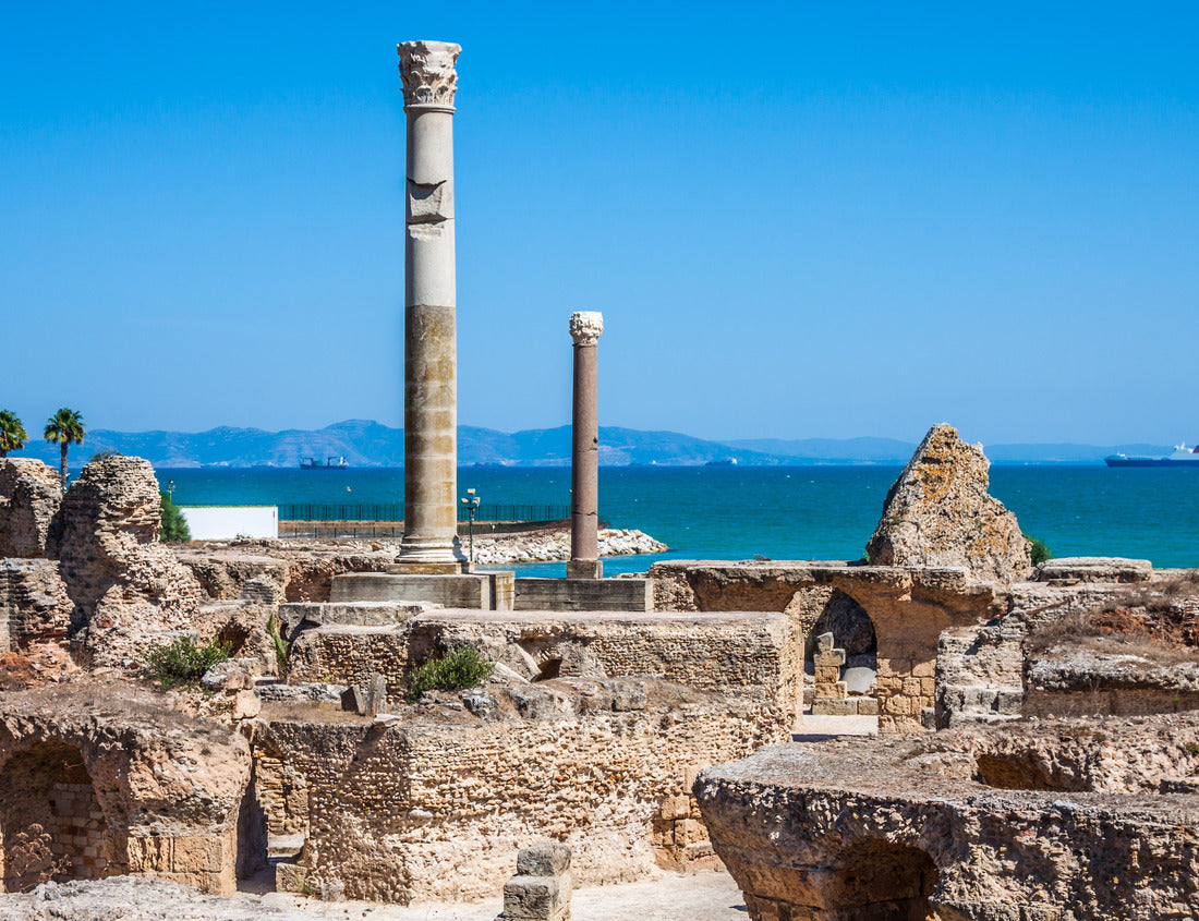 Noah Jigsaw Puzzle Ancient ruins at Carthage, Tunisia with the Mediterranean Sea in the background 1000 pieces