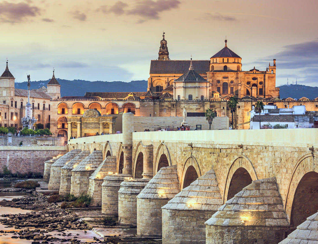 Noah Jigsaw Puzzle Cordoba, Spain view of the Roman Bridge and Mosque-Cathedral on the Guadalquivir River 1000 pieces