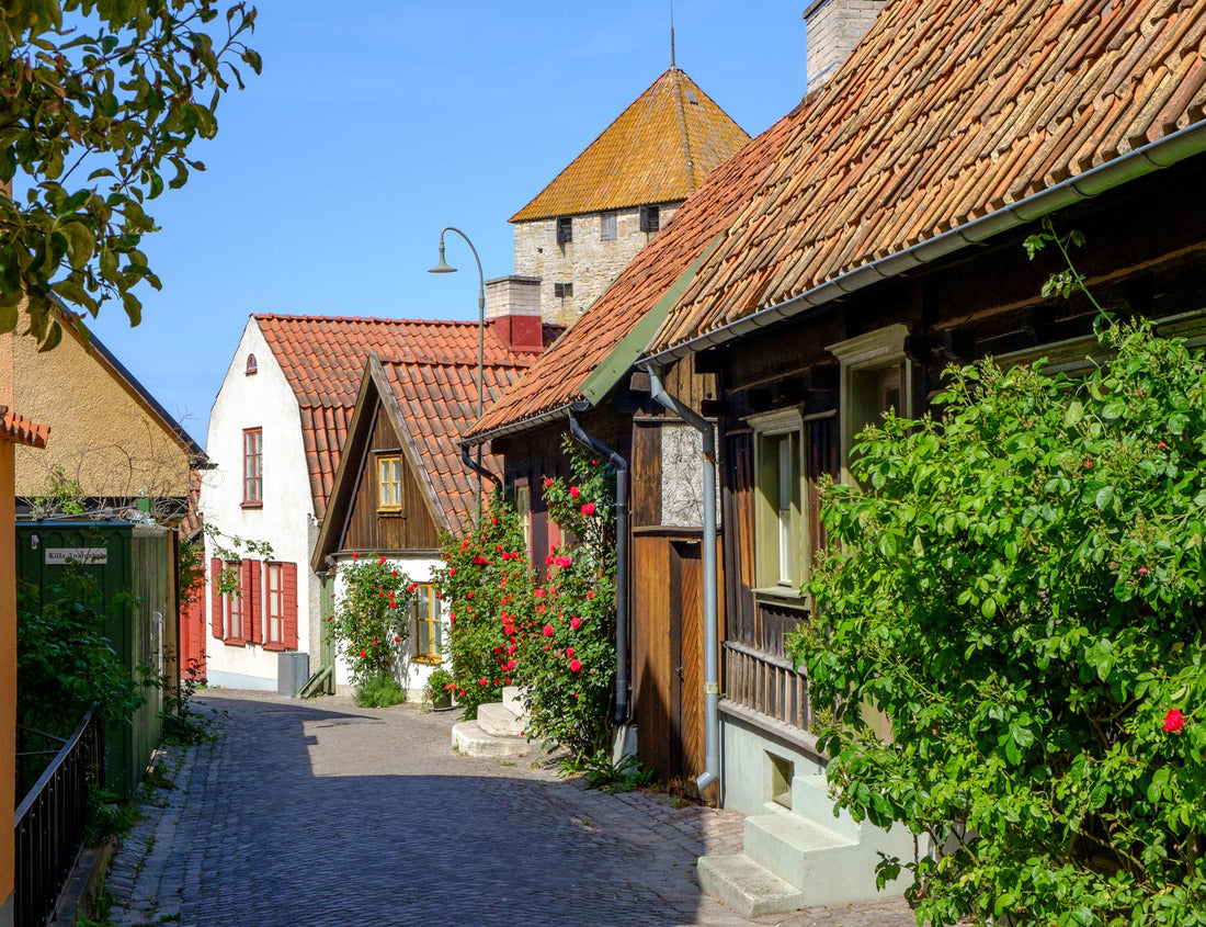 Noah Jigsaw Puzzle Medieval alley in the historic Hanseatic city of Visby, Sweden. In the background you can see the shooting tower of the ring wall of Visby, a UNESCO World Heritage Site 1000 pieces