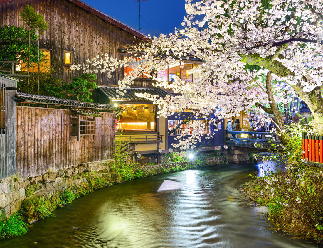 Noah Jigsaw Puzzle Kyoto, Japan at the Shirakawa River during the spring cherry blosson season 1000 pieces