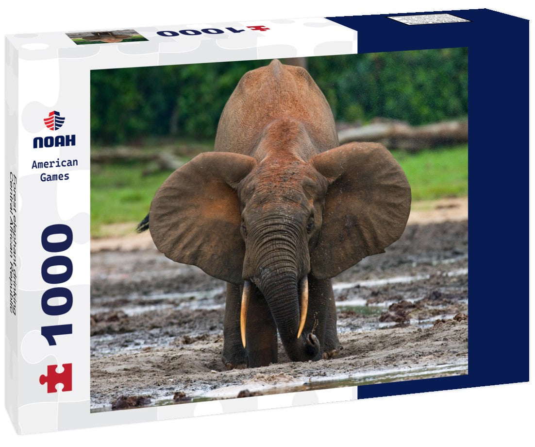 Noah Jigsaw Puzzle Forest elephant drinking, Central African Republic 1000 pieces