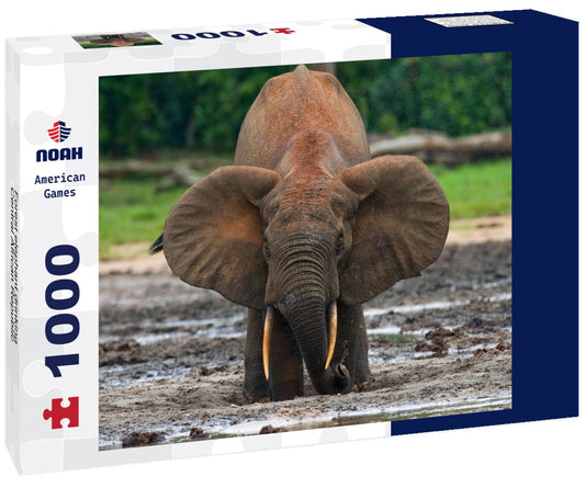 Noah Jigsaw Puzzle Forest elephant drinking, Central African Republic 1000 pieces