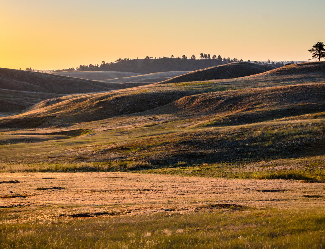 Noah Jigsaw Puzzle Landscape of Wind Cave National Park 1000 pieces