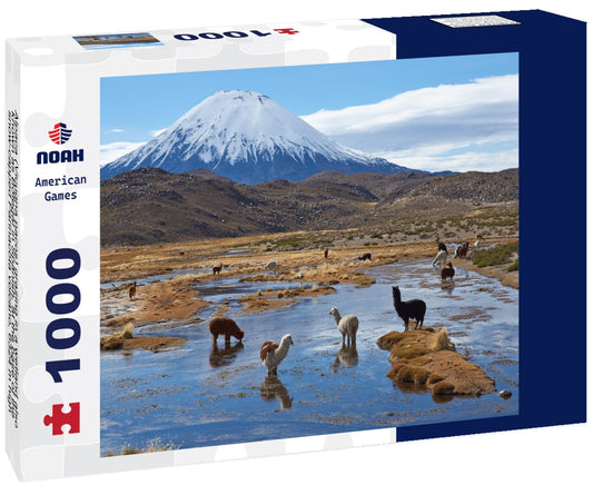 Noah Jigsaw Puzzle Alpaca (Vicugna pacos) grazing in a wetland also known as Bofedal in Spanish, at the base of the snow-capped Parinacota volcano, 6324 m high, in the altiplano of northern Chile 1000 pieces