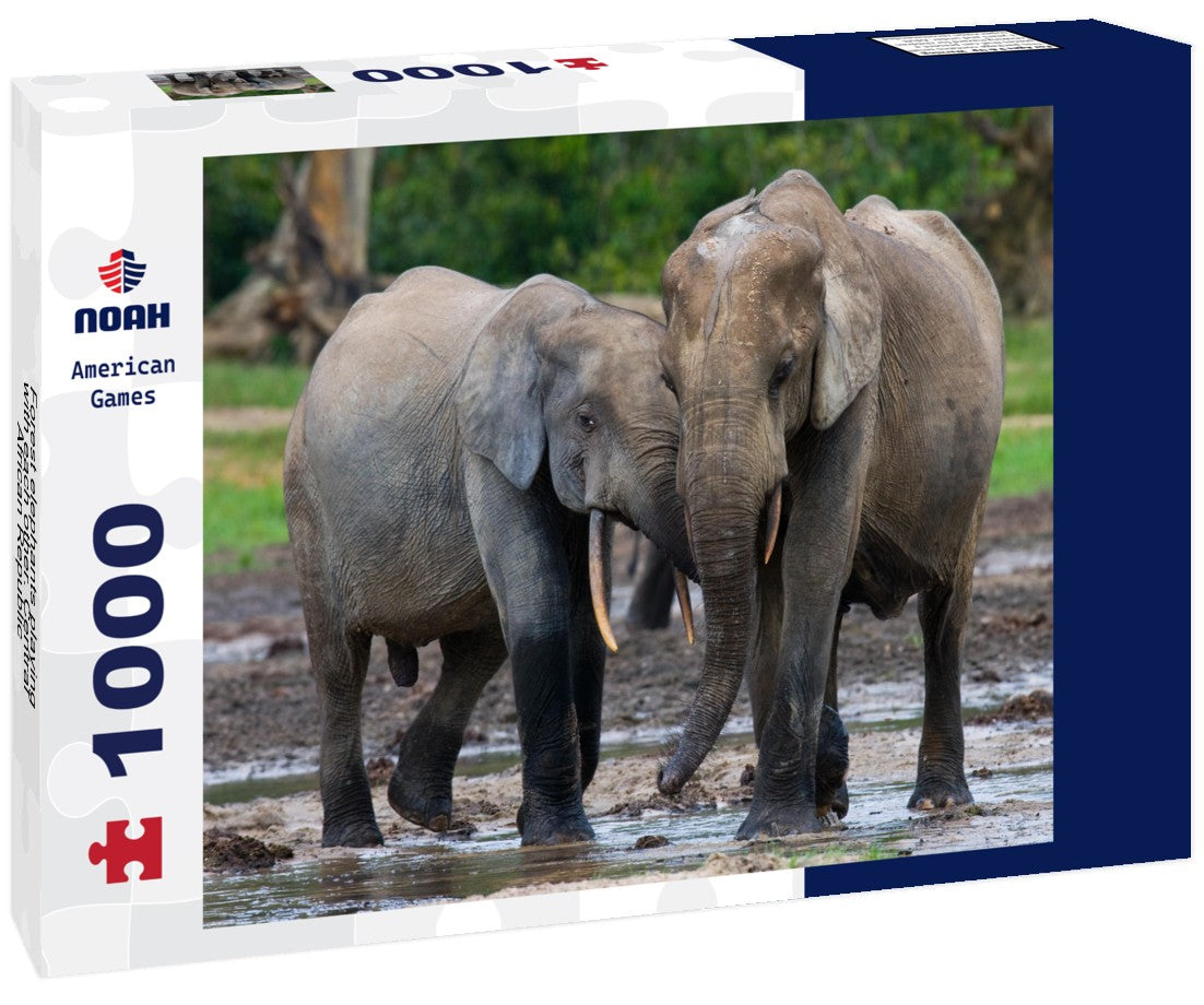 Noah Jigsaw Puzzle Forest elephants playing with each other. Central African Republic 1000 pieces