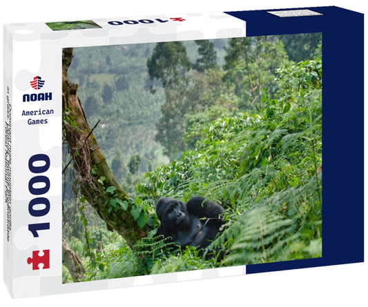 Noah Jigsaw Puzzle Dominant male mountain gorilla in grass. Uganda. Bwindi Impenetrable Forest National Park 1000 pieces