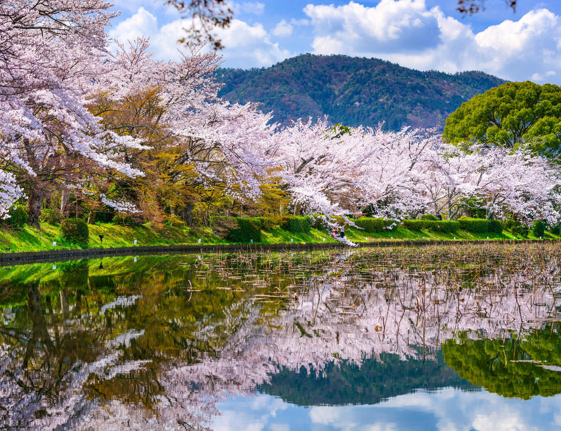 Noah Jigsaw Puzzle Kyoto, Japan in the Spring at Daikaku-ji Temple's pond 1000 pieces