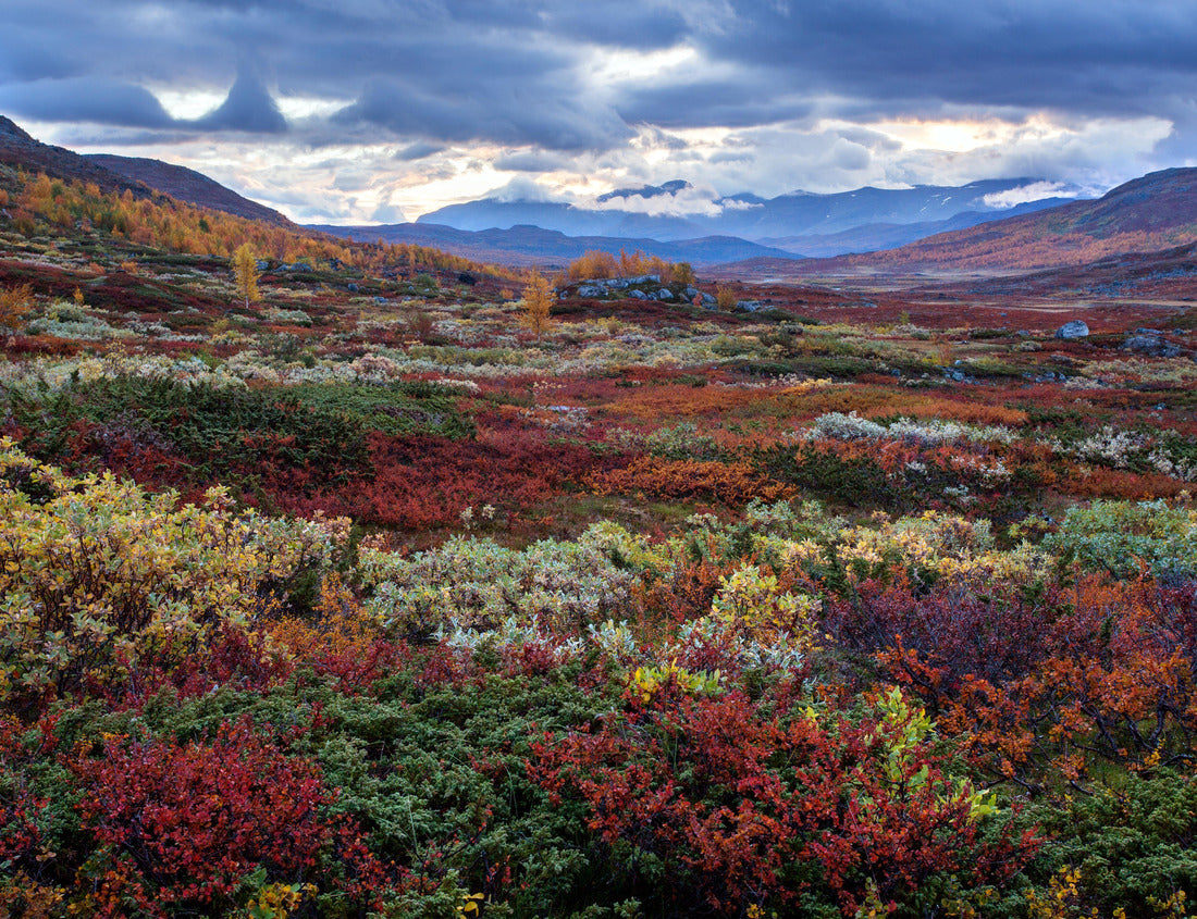 Noah Jigsaw Puzzle Autumn festival in northern Sweden 1000 pieces