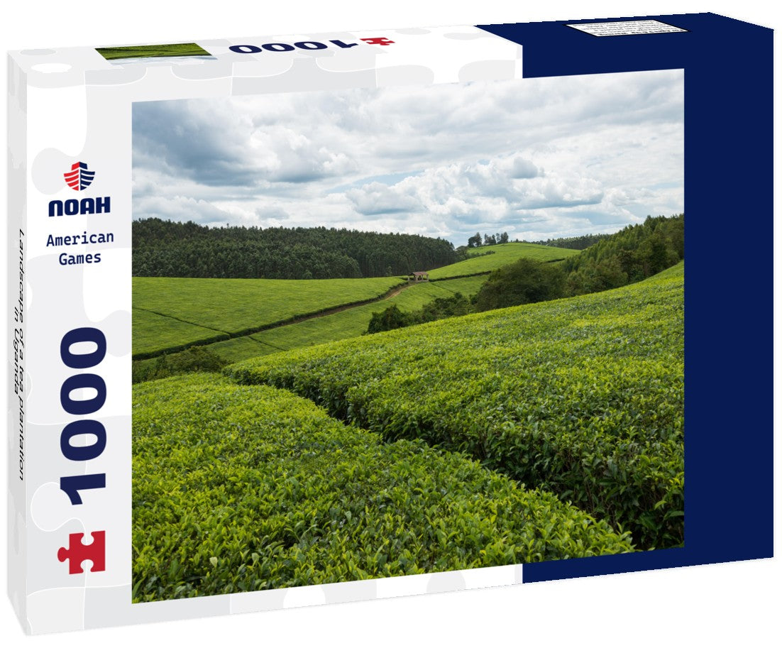 Noah Jigsaw Puzzle Landscape of a tea plantation in Uganda 1000 pieces