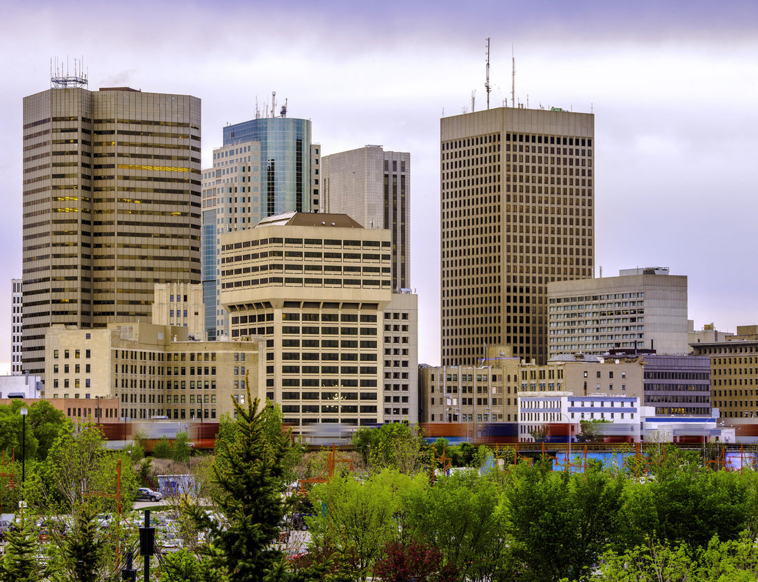 Noah Jigsaw Puzzle Downtown Winnipeg, buildings and skyline 1000 pieces