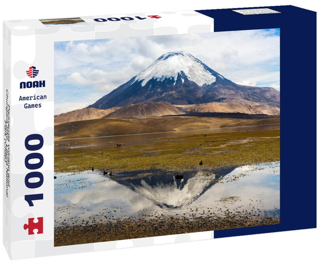 Noah Jigsaw Puzzle Parinacota volcano and Chungara lake, Lauca National Park (Chile) 1000 pieces