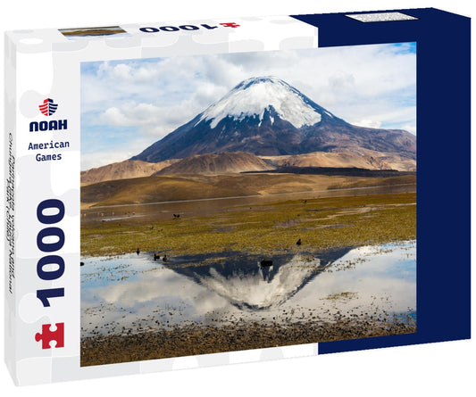 Noah Jigsaw Puzzle Parinacota volcano and Chungara lake, Lauca National Park (Chile) 1000 pieces