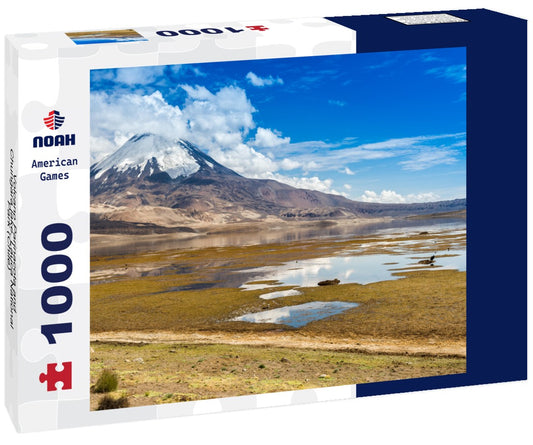 Noah Jigsaw Puzzle Volcano Parinacota and Chungara lake, Lauca National Park (Chile) 1000 pieces