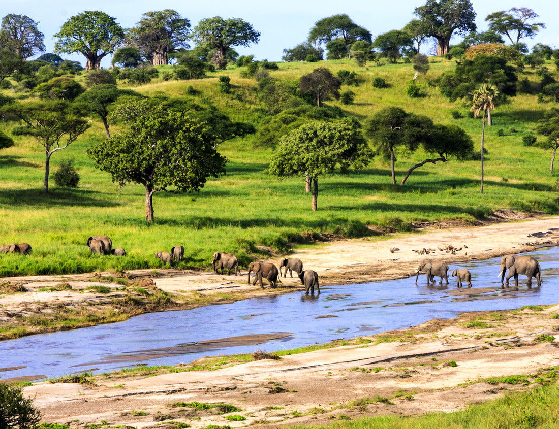 Noah Jigsaw Puzzle Elephants crossing the river in Serengeti National Park, Tanzania, Africa 1000 pieces