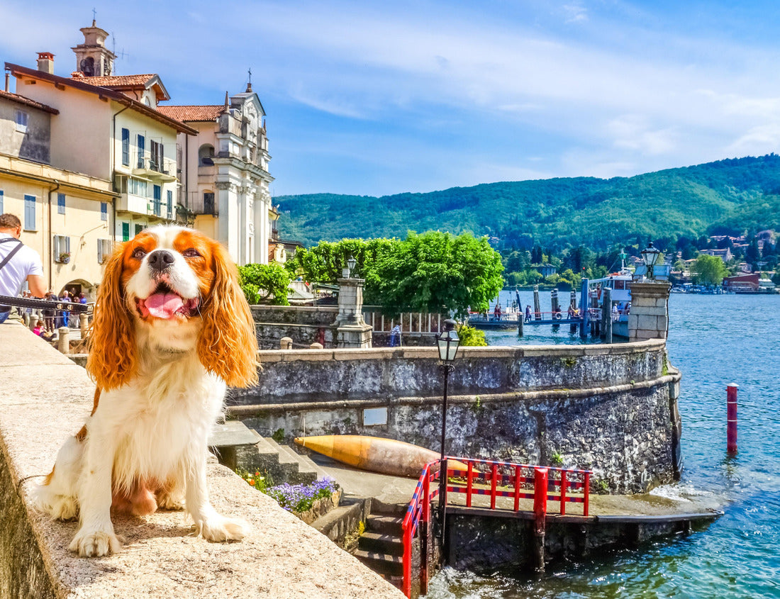 Noah Jigsaw Puzzle Isola Bella, Lake Maggiore 1000 pieces