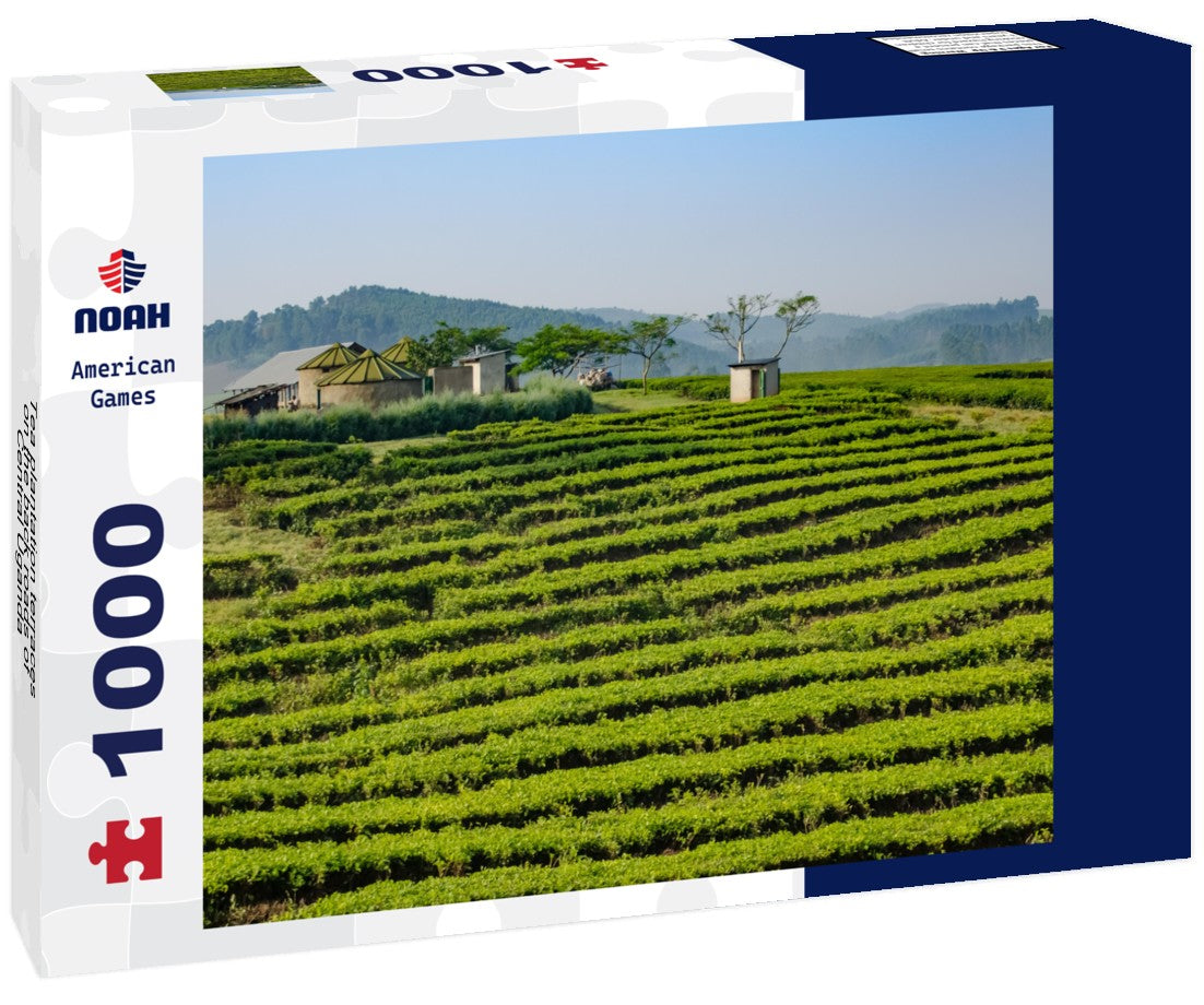 Noah Jigsaw Puzzle Tea plantation terraces on the back roads of Central Uganda 1000 pieces