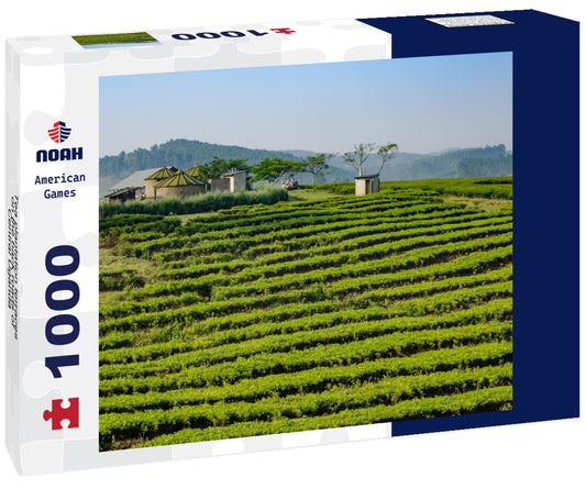 Noah Jigsaw Puzzle Tea plantation terraces on the back roads of Central Uganda 1000 pieces
