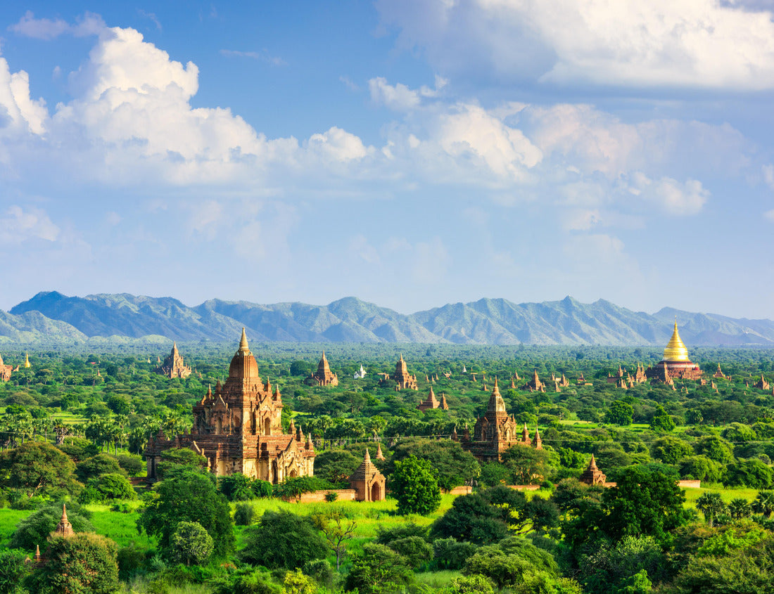 Noah Jigsaw Puzzle Bagan, Myanmar temples in the Archaeological Zone 1000 pieces