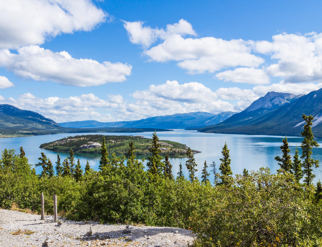 Noah Jigsaw Puzzle Bove Island and Tagish Lake in Yukon, Canada in summer 1000 pieces