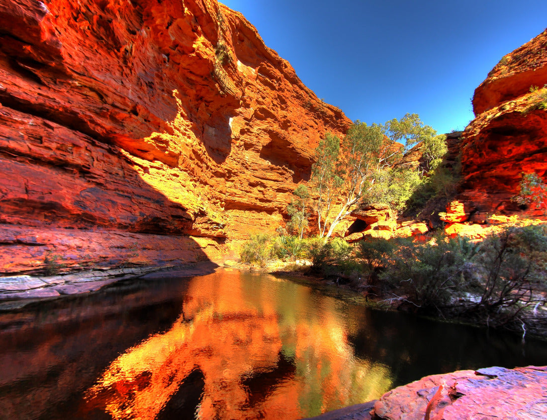 Noah Jigsaw Puzzle Kings Canyon, Australia 1000 pieces