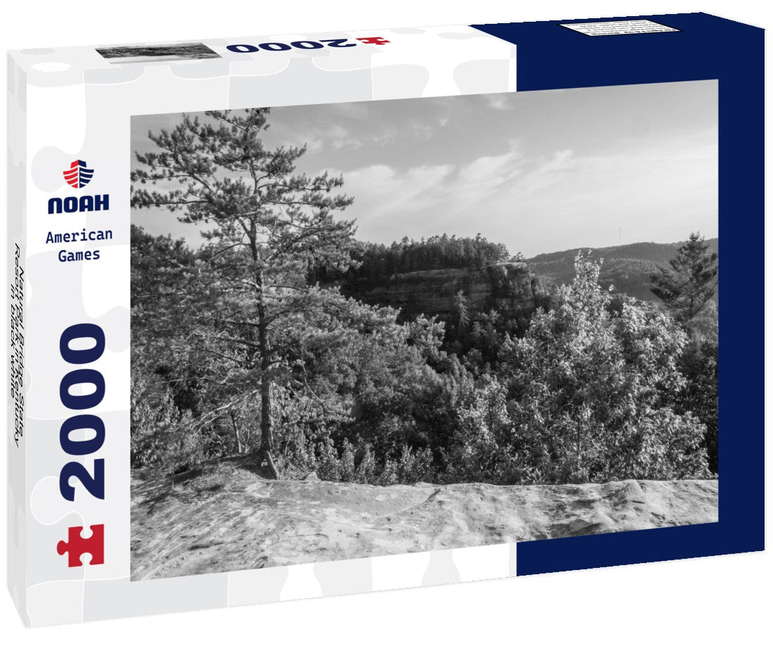 Noah Jigsaw Puzzle Natural Bridge State Resort Park in Kentucky in black white 2000 pieces