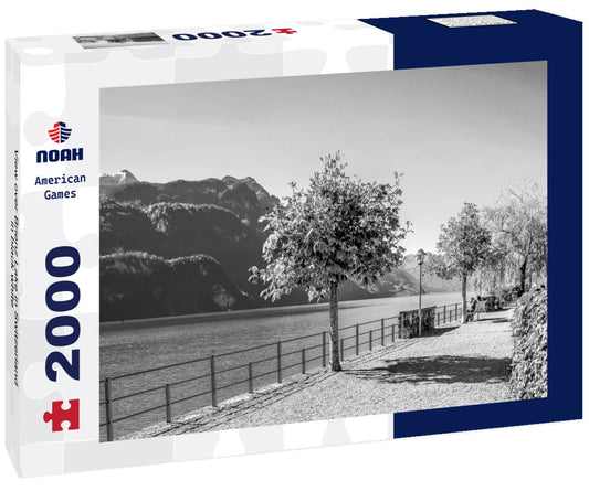 Noah Jigsaw Puzzle View over Brienz Lake in Switzerland in black white 2000 pieces
